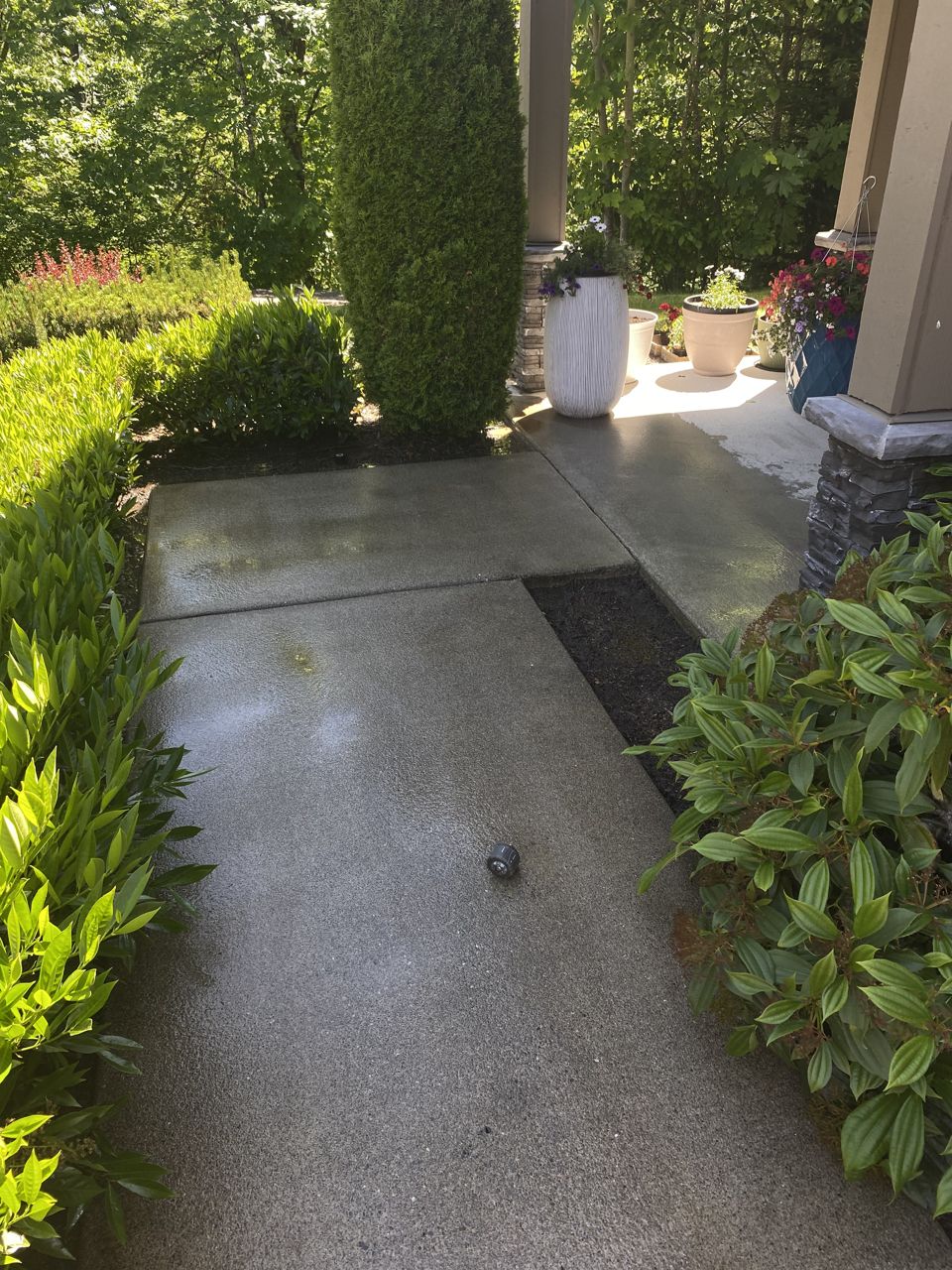 Garden Path Wash — pressure washing job in Sammamish Valley, Redmond & the Eastside, by AJ Wash & Landscape